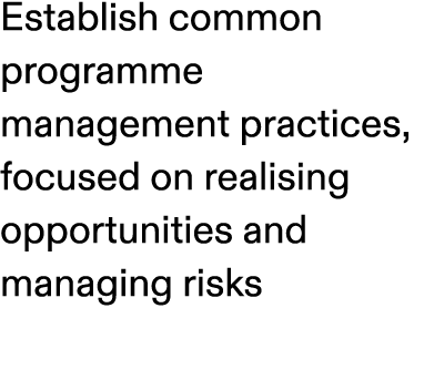 Establish common programme management practices, focused on realising opportunities and managing risks 