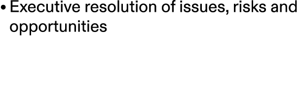 • Executive resolution of issues, risks and opportunities 