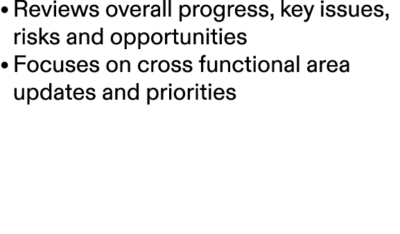 • Reviews overall progress, key issues, risks and opportunities • Focuses on cross functional area updates and priori...