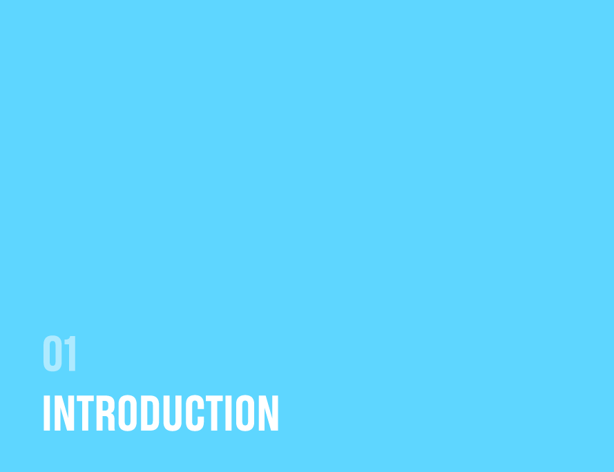 01 Introduction